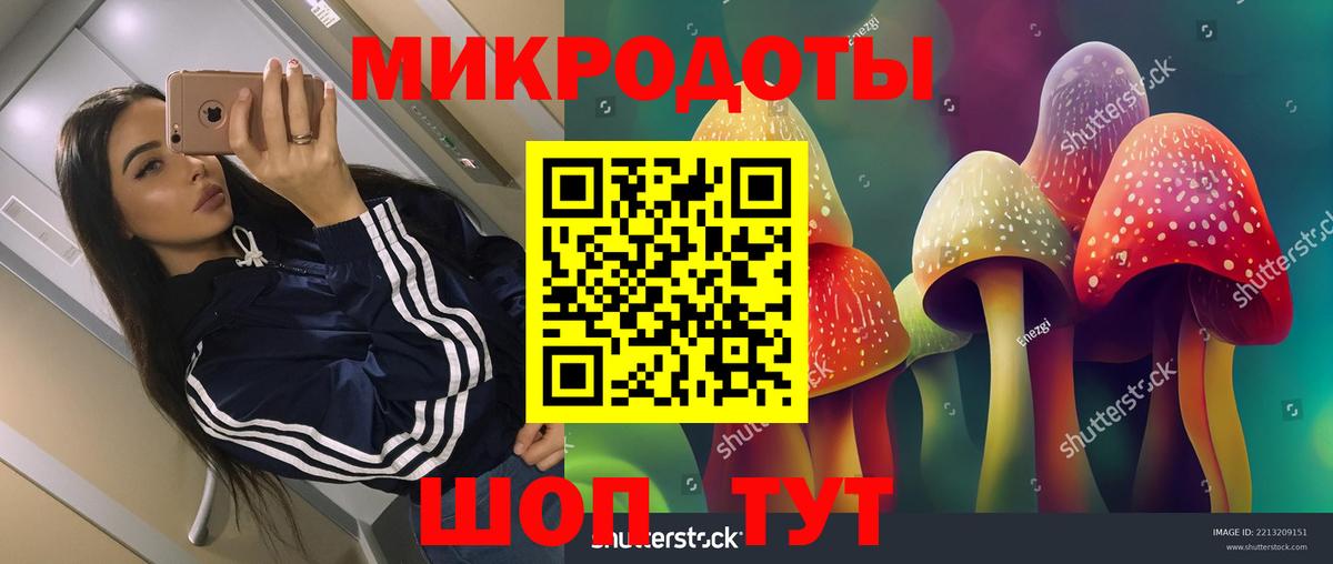 Псилоцибиновые грибы Cubensis  Вход с VPN  Уссурийск 
